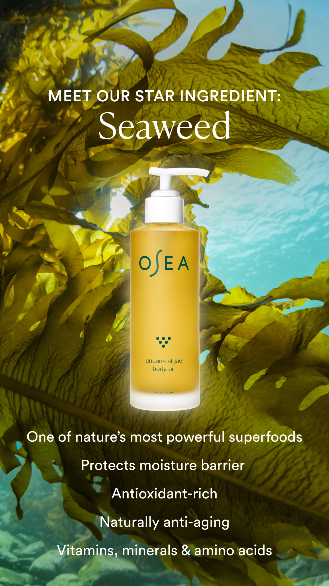 The Holy Grail of Body Oil