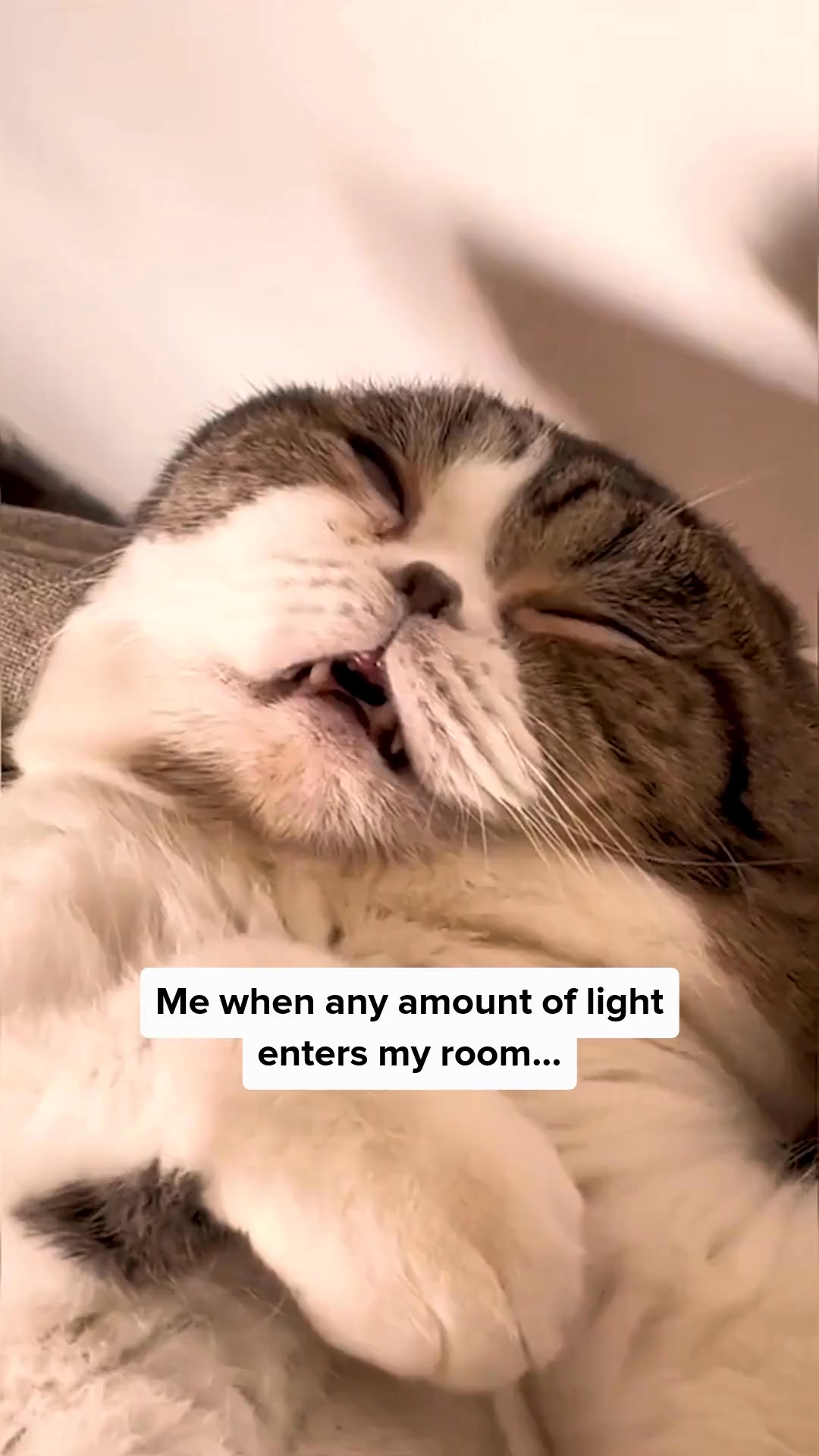 100% blackout, every night