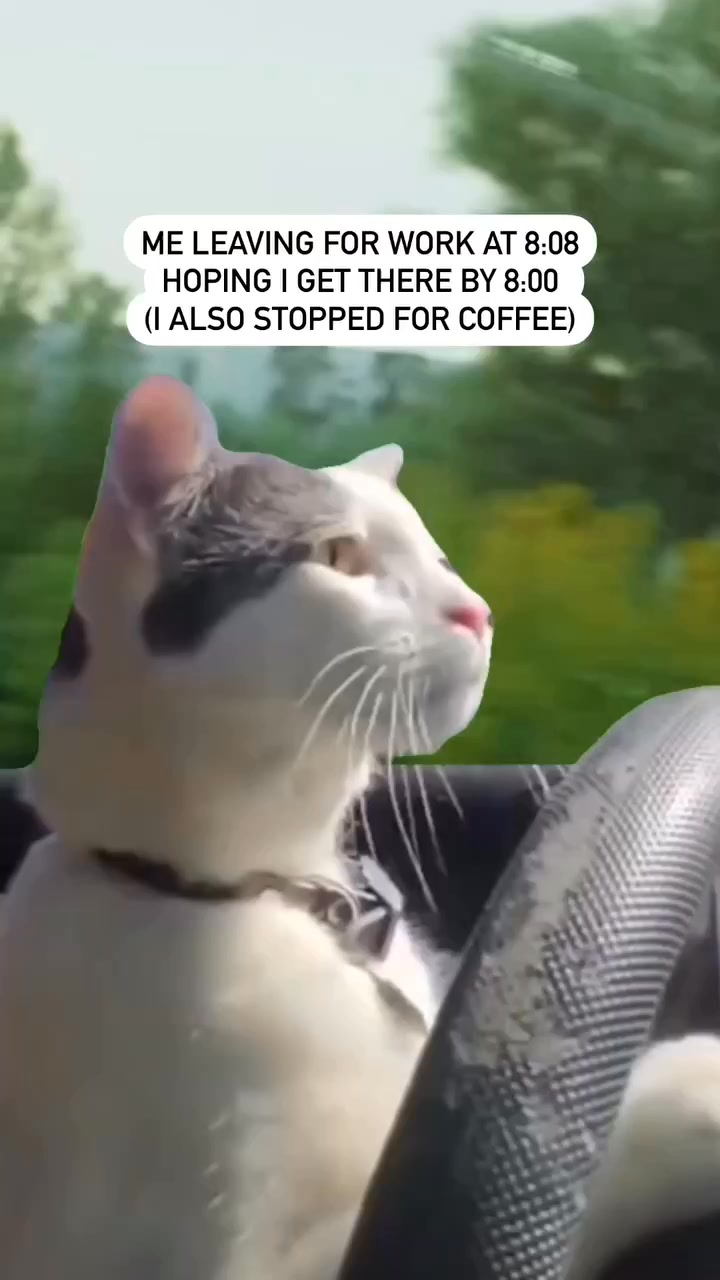 Bones Coffee