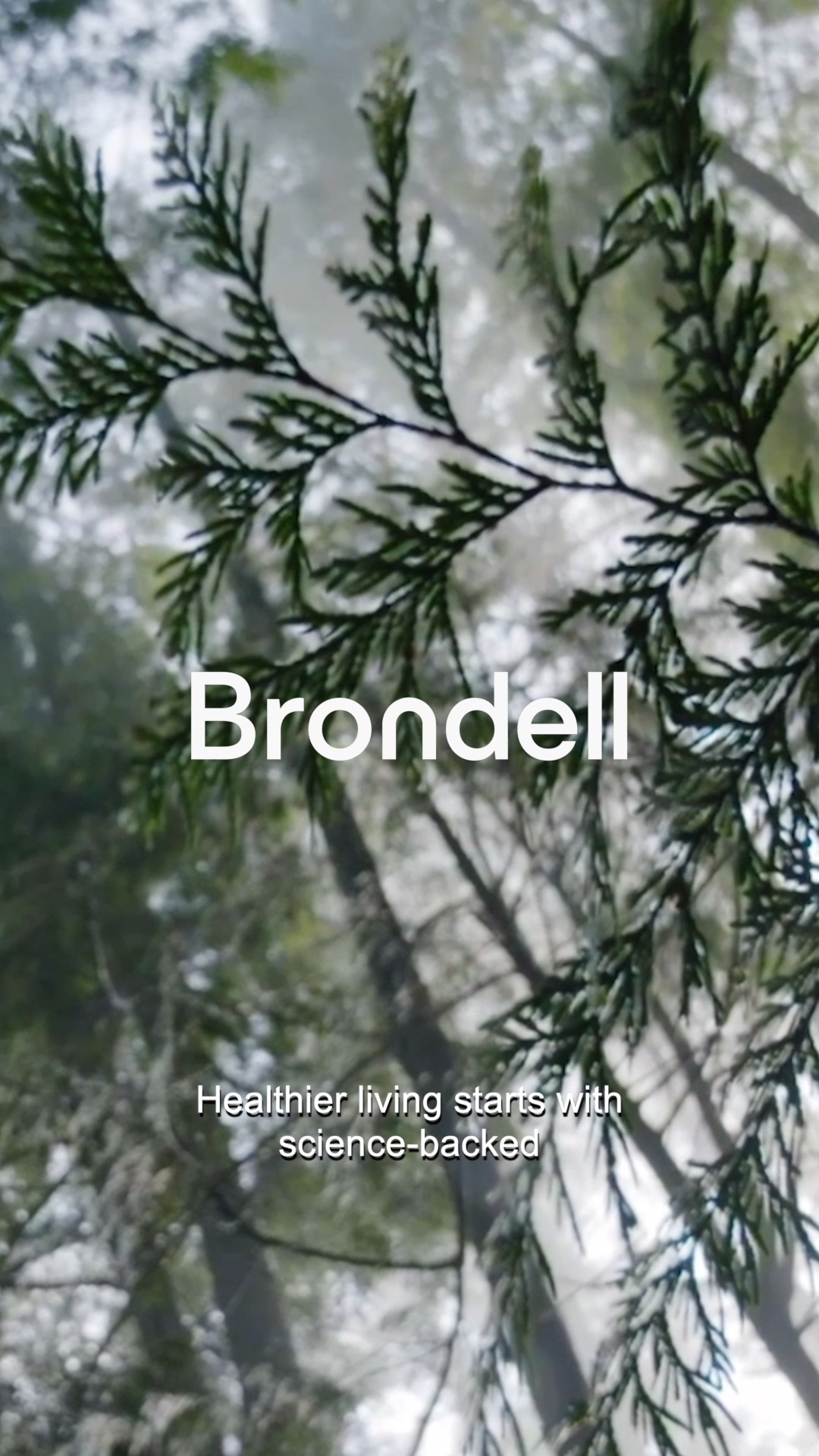 Everyone deserves access to safer air, water, and washes. That's why we design healthier, science-backed solutions for every home. Explore the Brondell ecosystem here: https://bit.ly/4dpCuY3