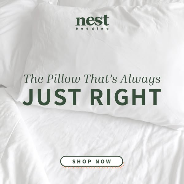 Renew Your Nest