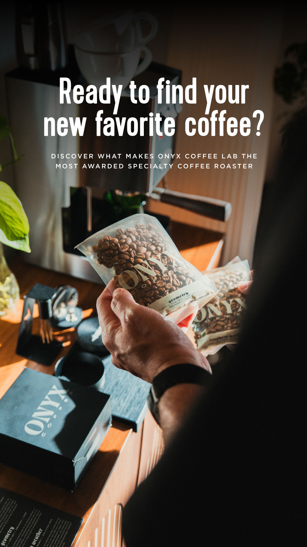 Find Your New Favorite Coffee