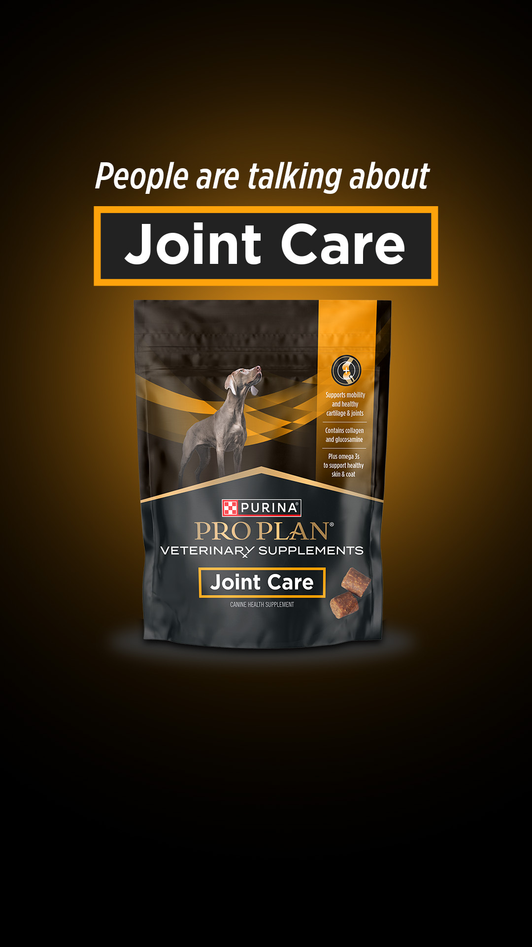 Support Healthy Joints