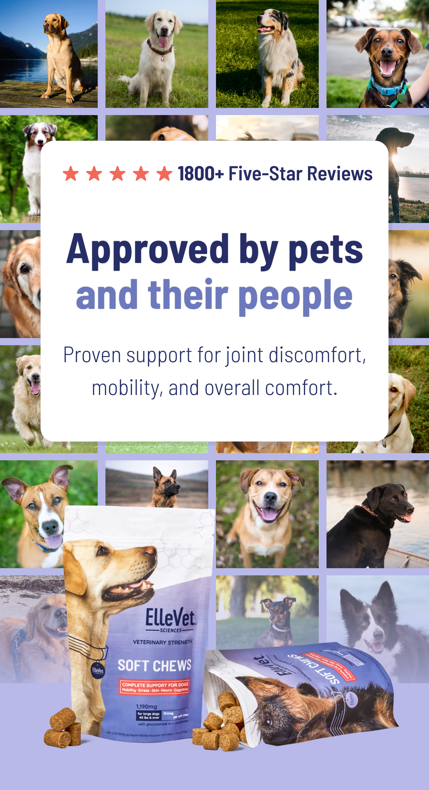 Made by Pet Lovers, for Pet Lovers