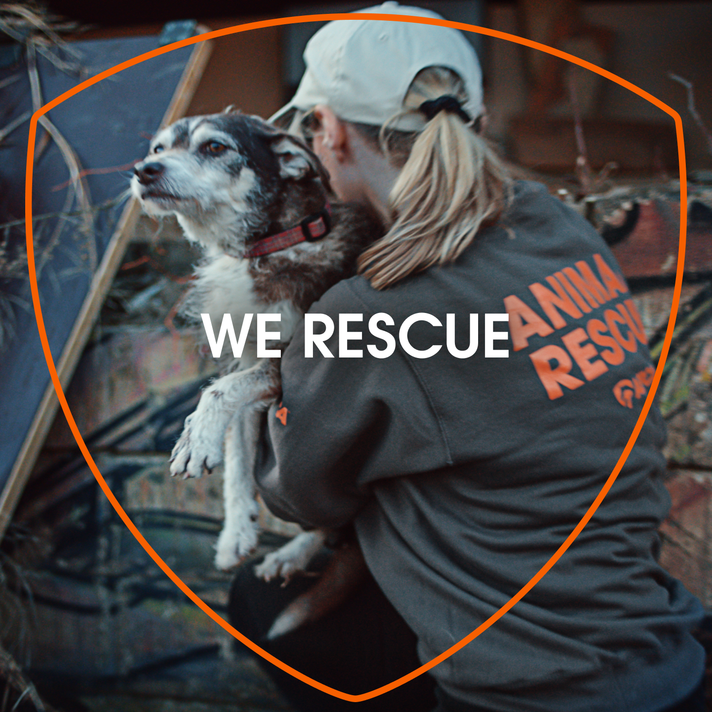 ASPCA