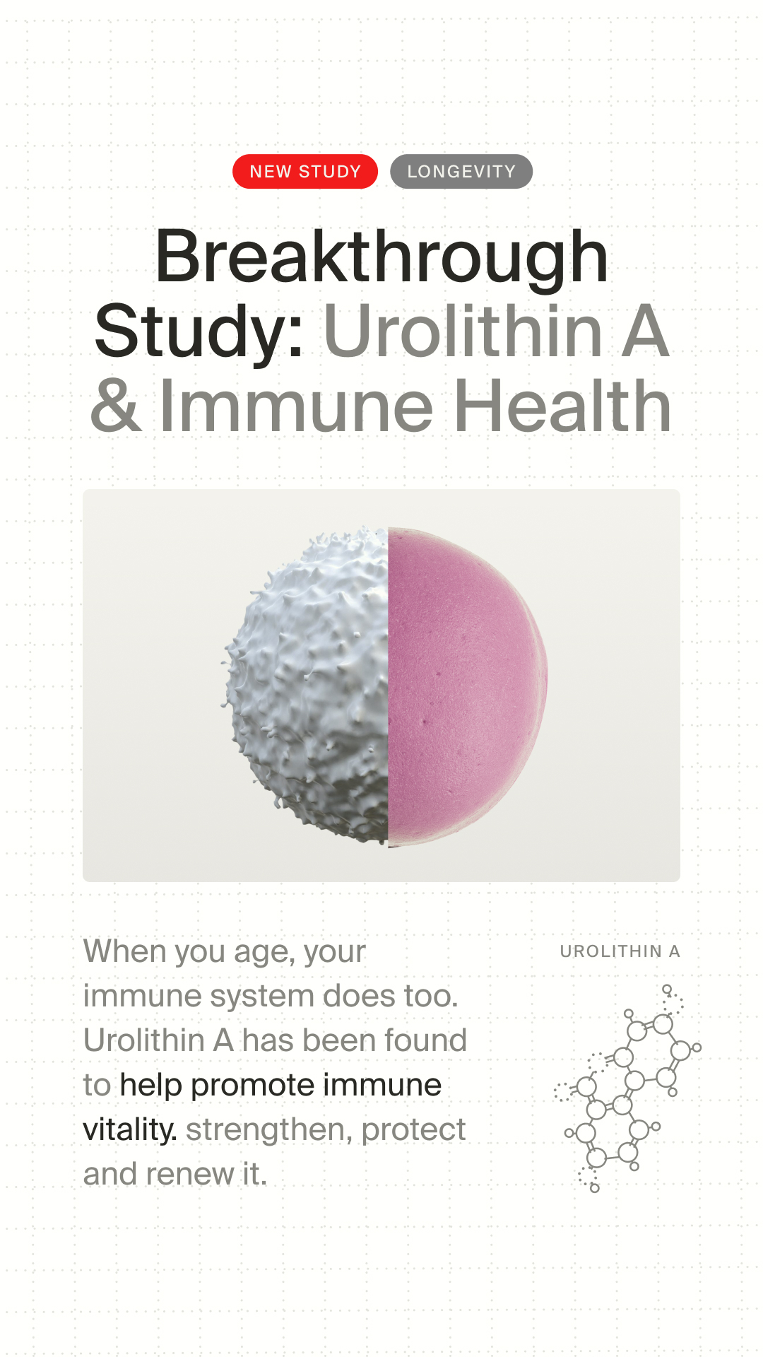 Rejuvenate Immune Function With Mitopure®