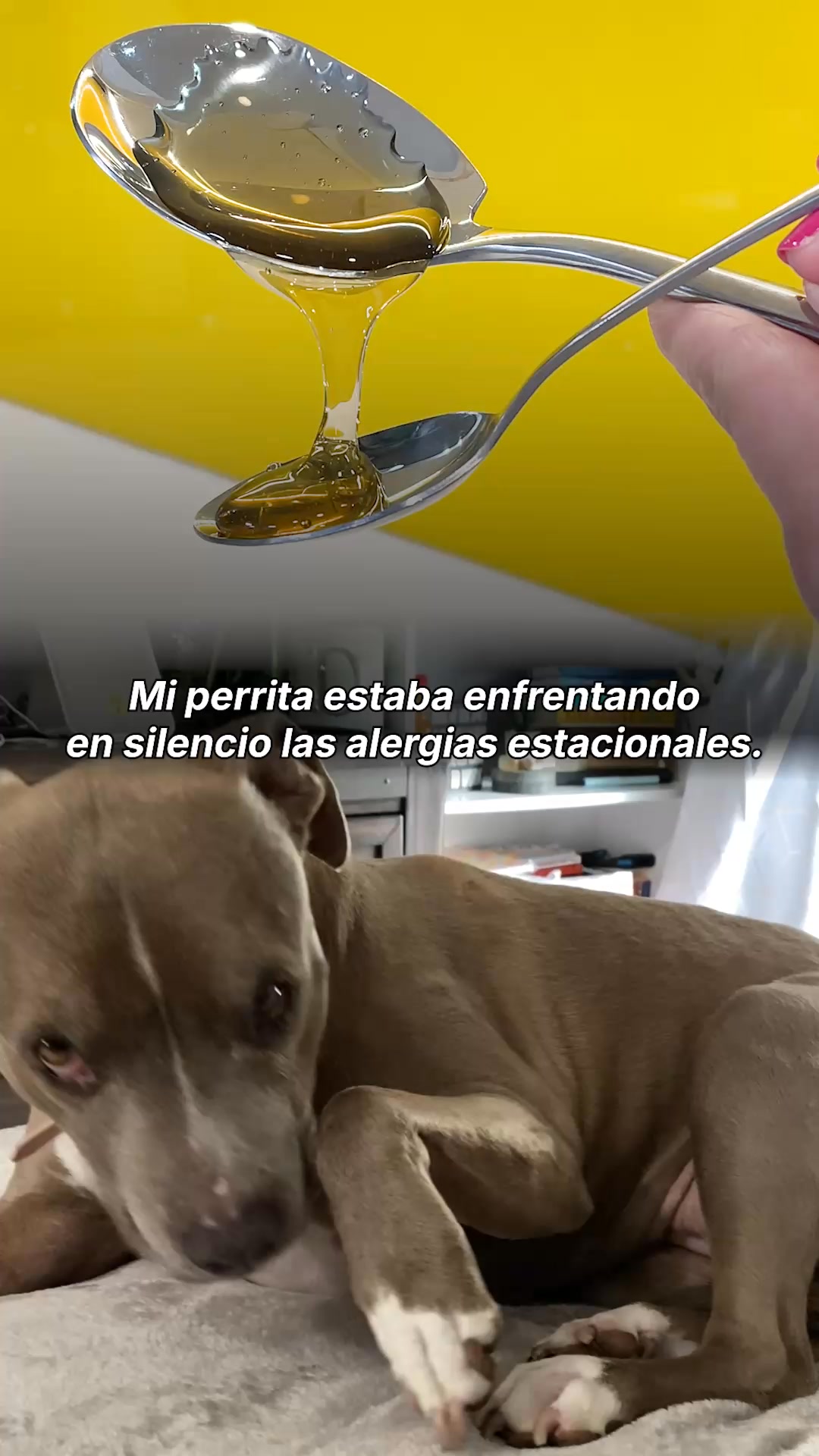 Nuevos clientes obtienen 20% de DESCUENTO + REGALO gratis
