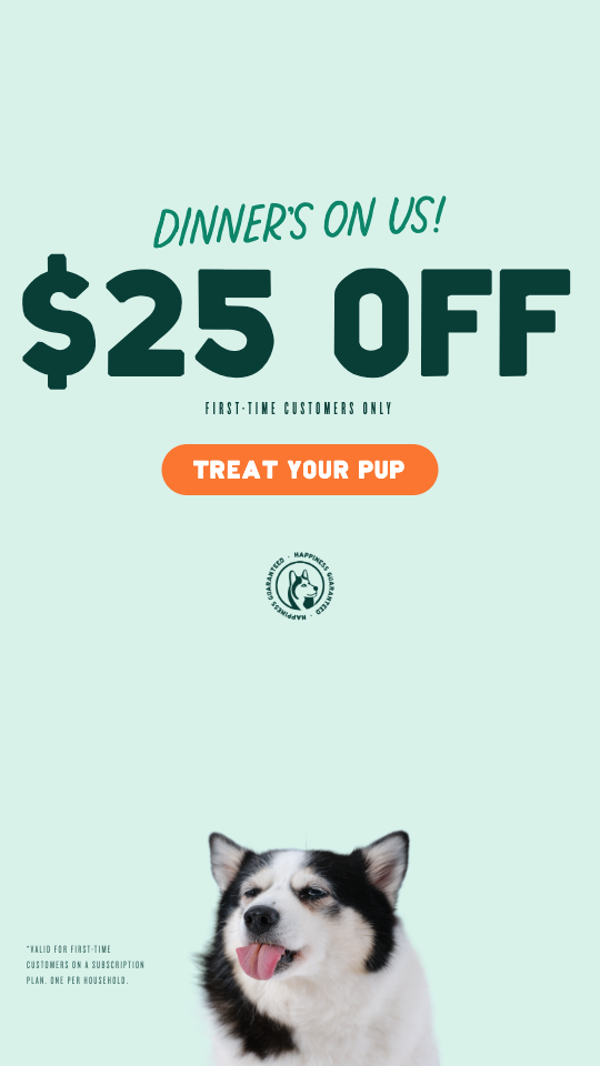 $25 Off Your First Order