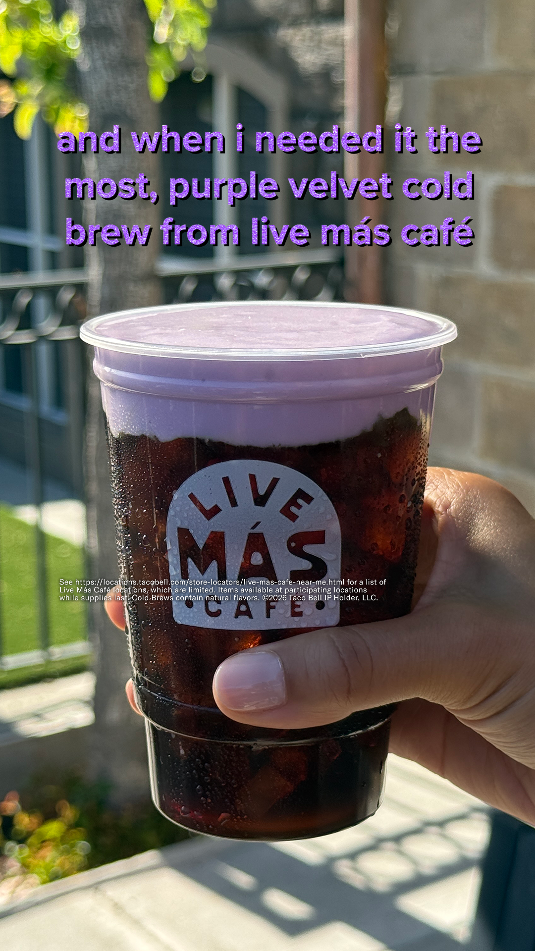 enter live más café