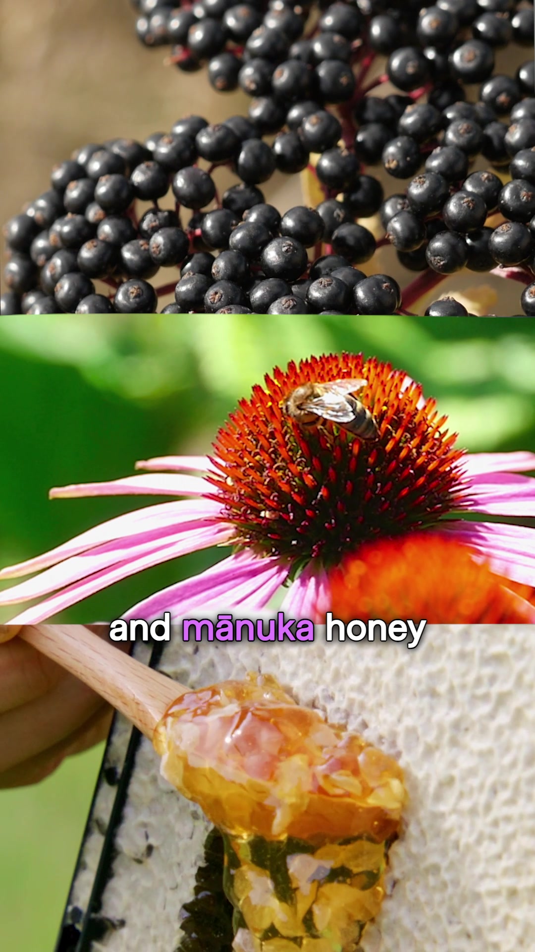 Mānuka Honey Immunity Supplement: Save 31%