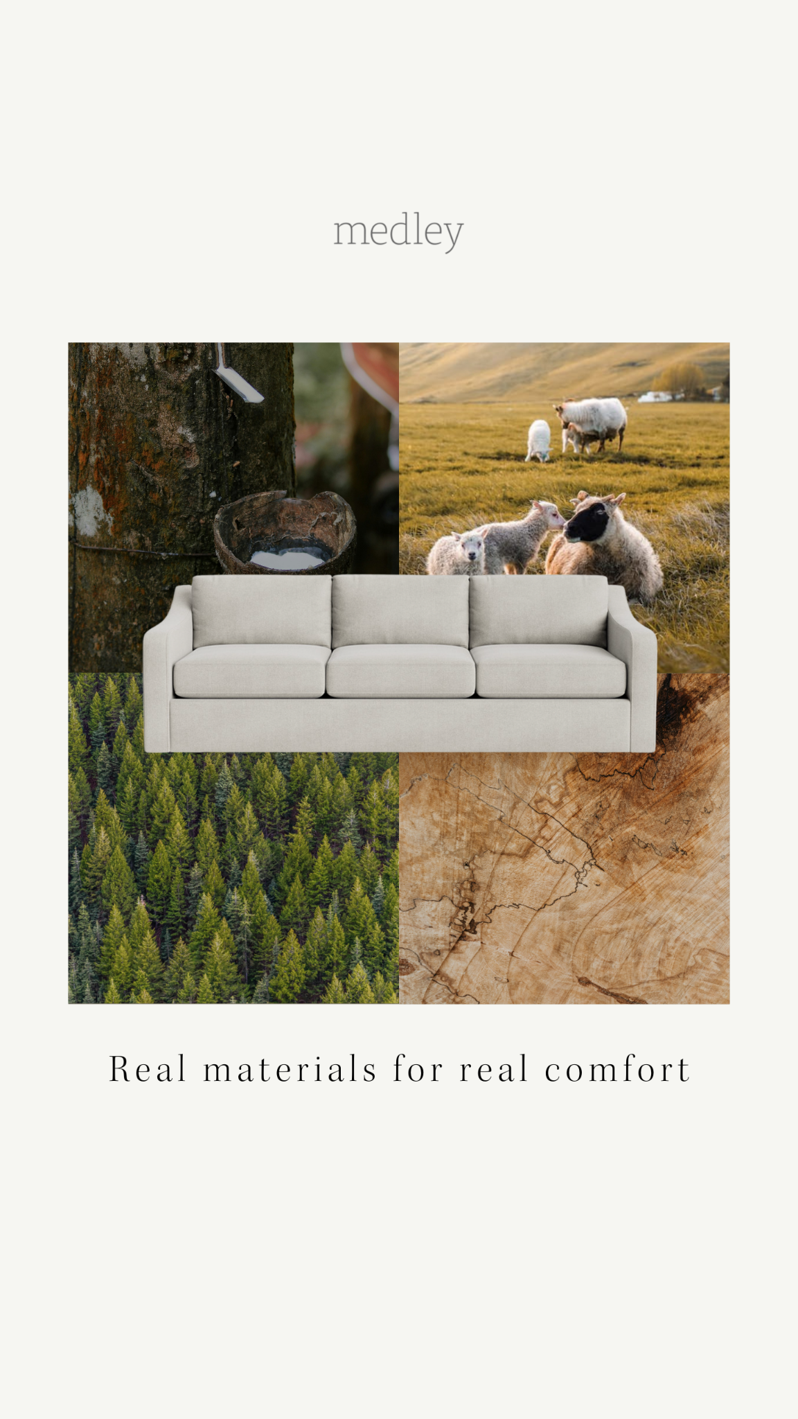 Welcome Nature In