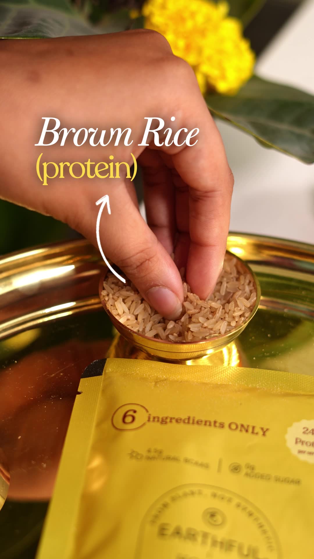 Plant protein made with pea & brown rice 💯