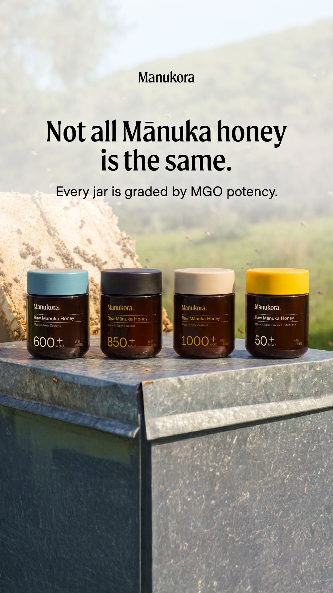 Mānuka Honey: Save 31% + Free Gifts