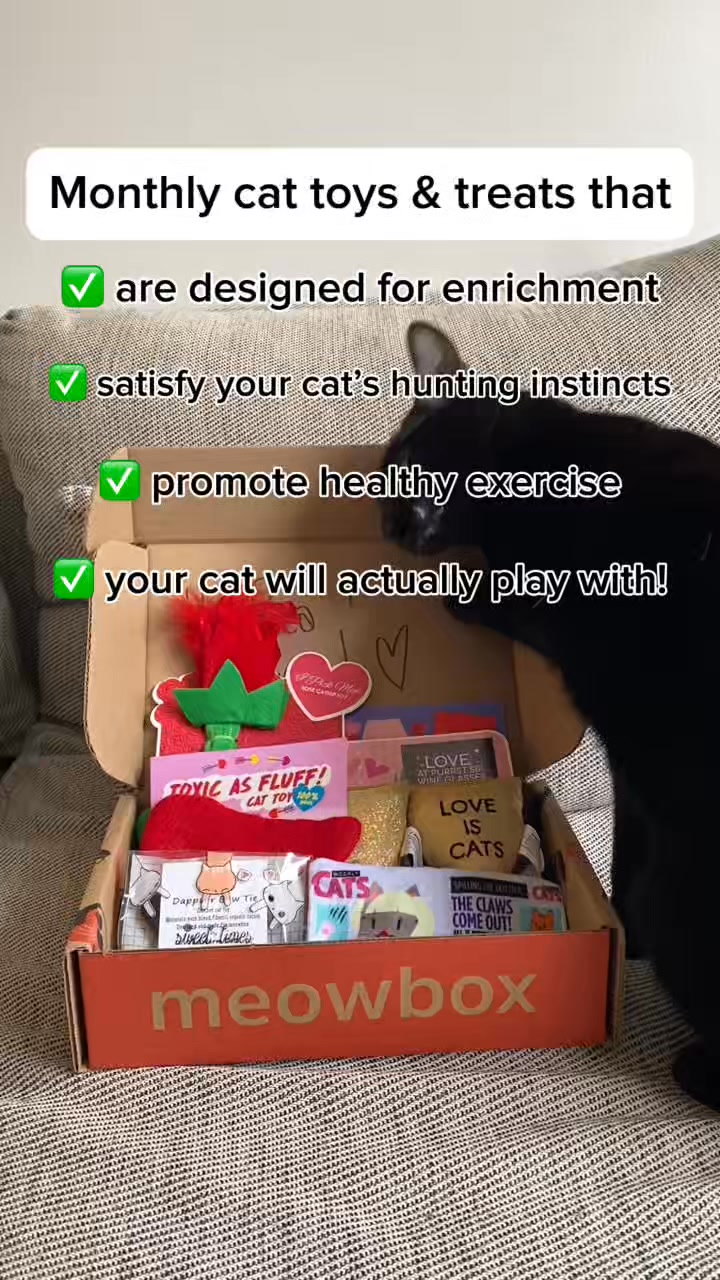 🐾 Take 15% off your first meowbox