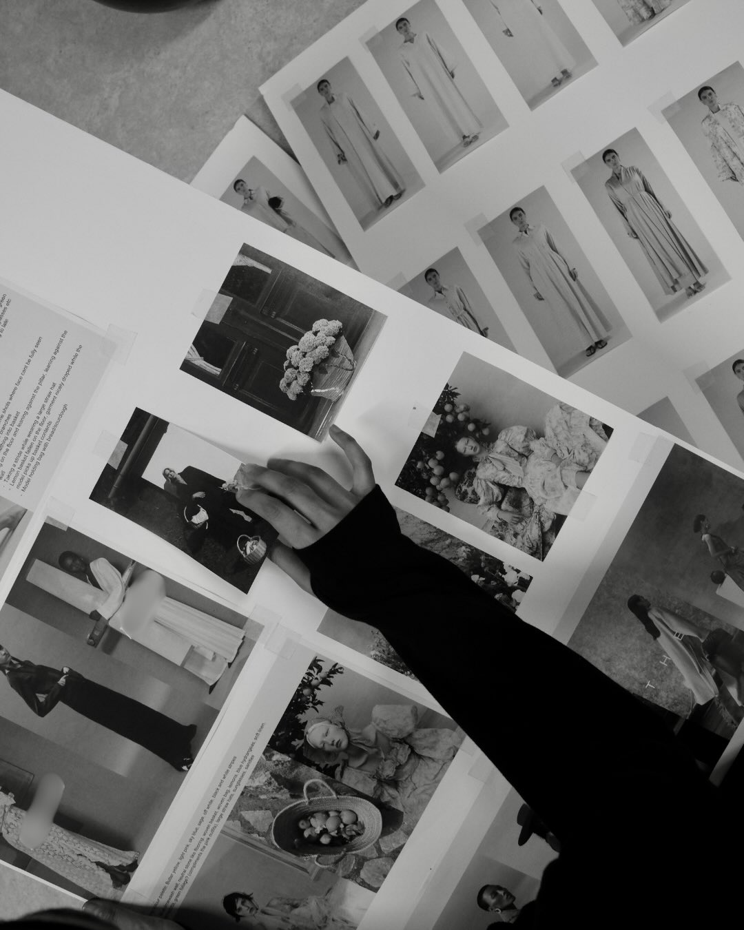 Aab