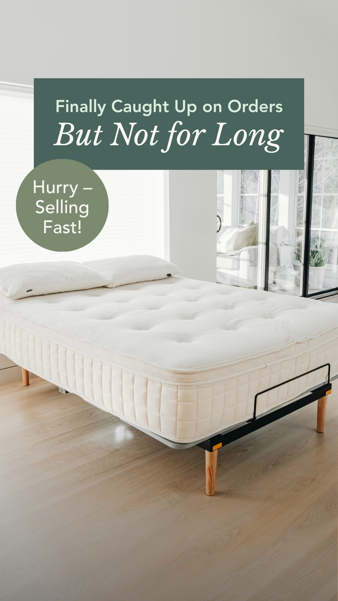 Plush Pillow Top in Demand