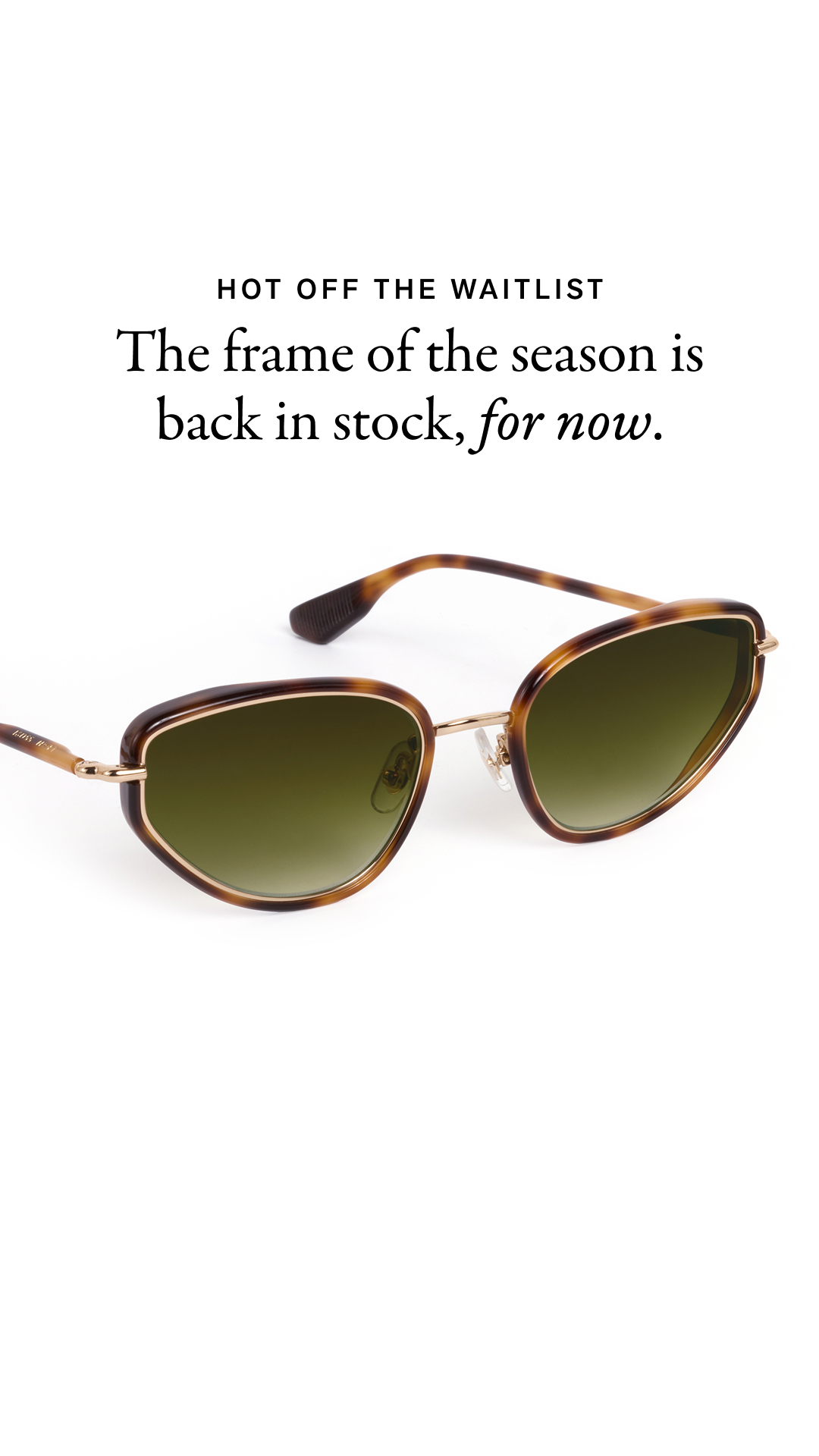 The season's bestselling frames, available in limited quantities.