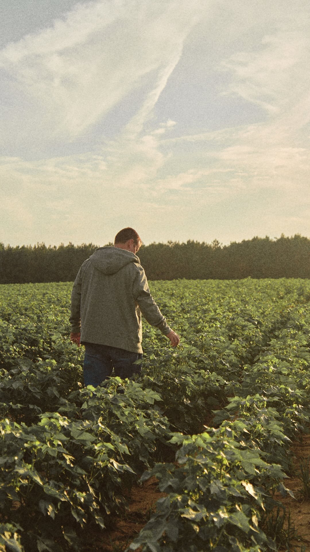 Our clothes are grown & sewn entirely in the U.S.A. We’re often asked why we choose to make here, even though it isn’t easy. Staying close ensures the highest quality standards, so our apparel spends more time being worn