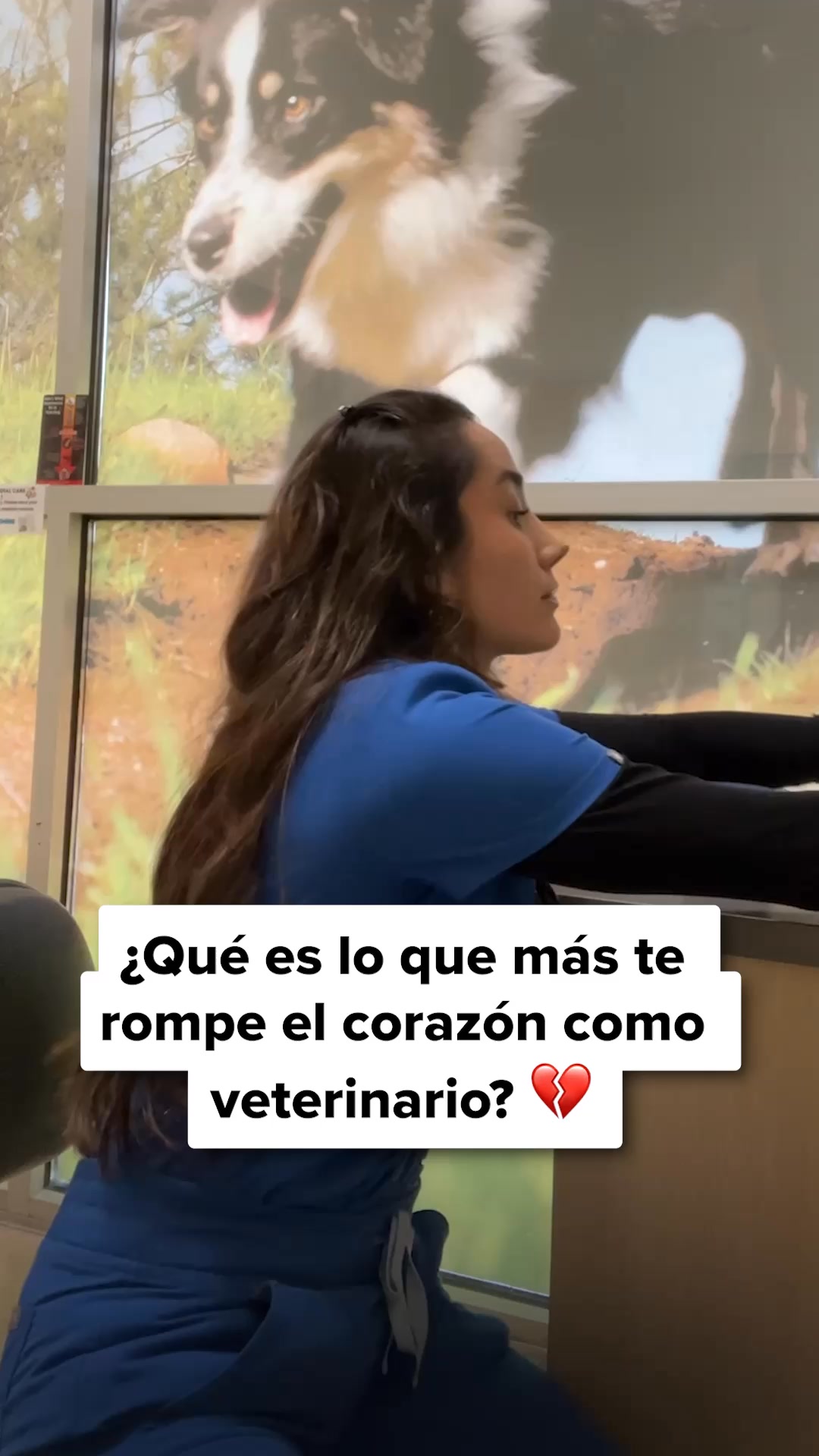 Este masticable “Allergy & Immune” ofrece a los perros una segunda oportunidad de llevar una vida tranquila