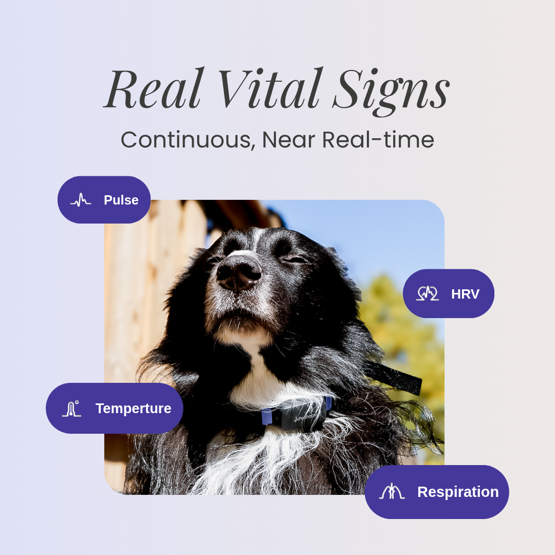PetPace