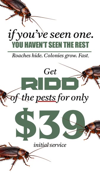 Ad creative