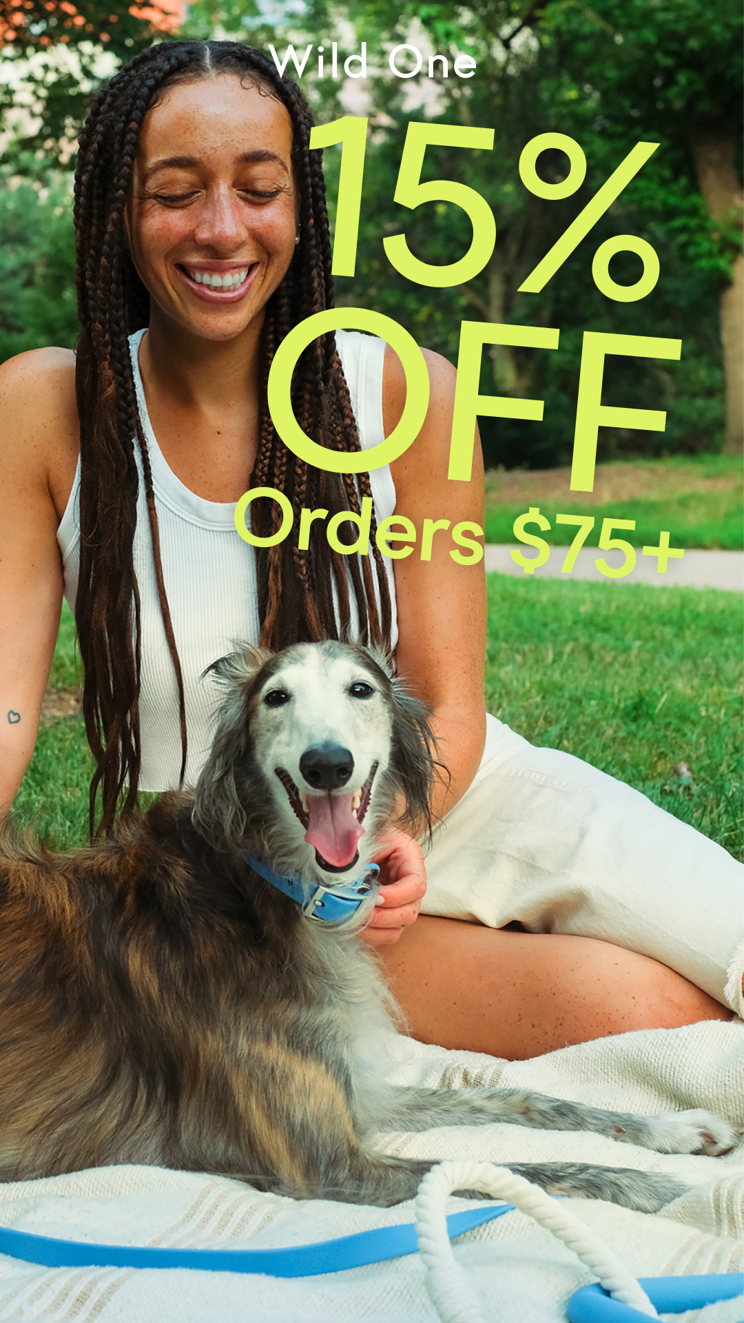 Pawsitively Stylish Dog Gear