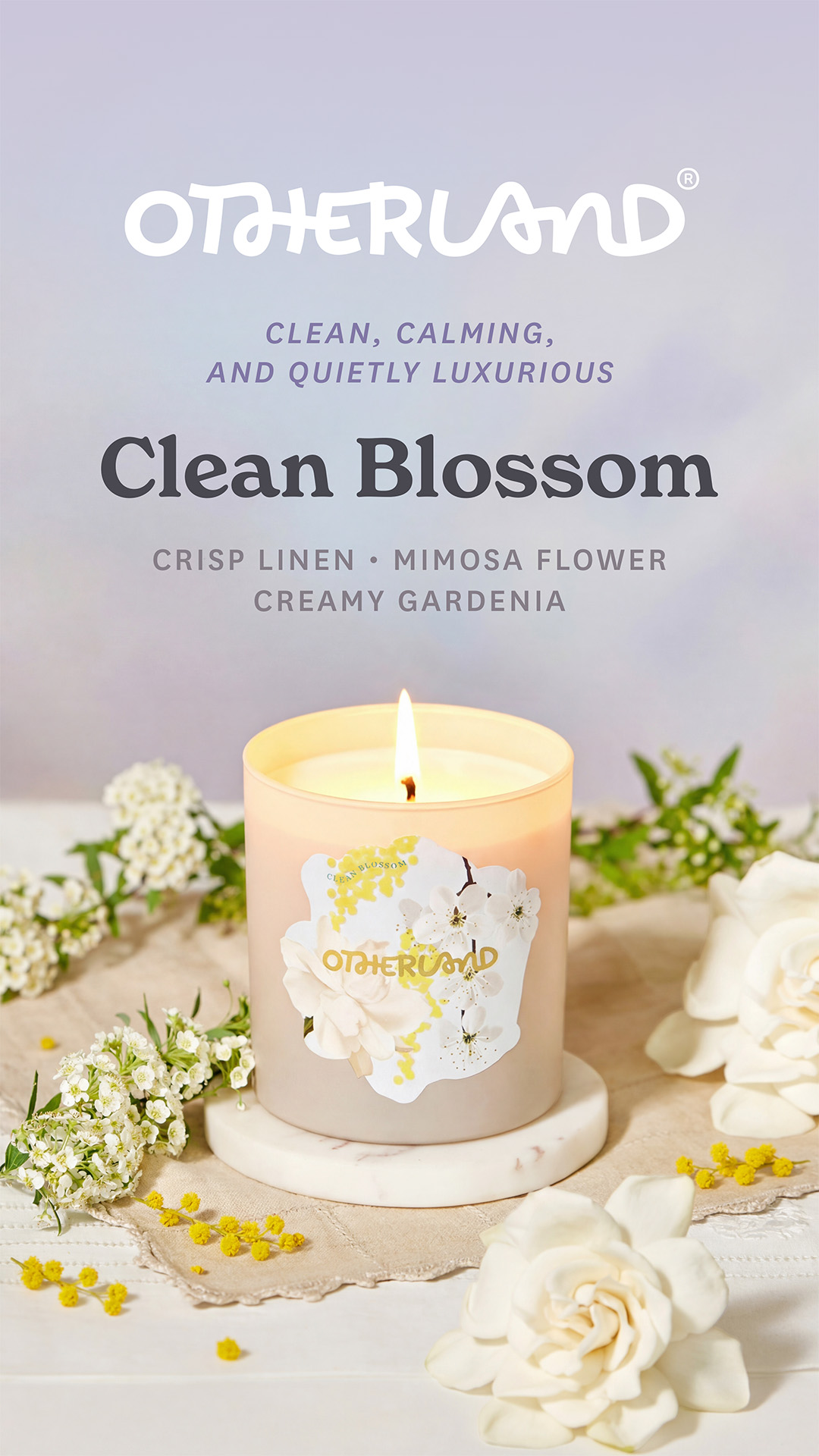 Explore Clean Blossom
