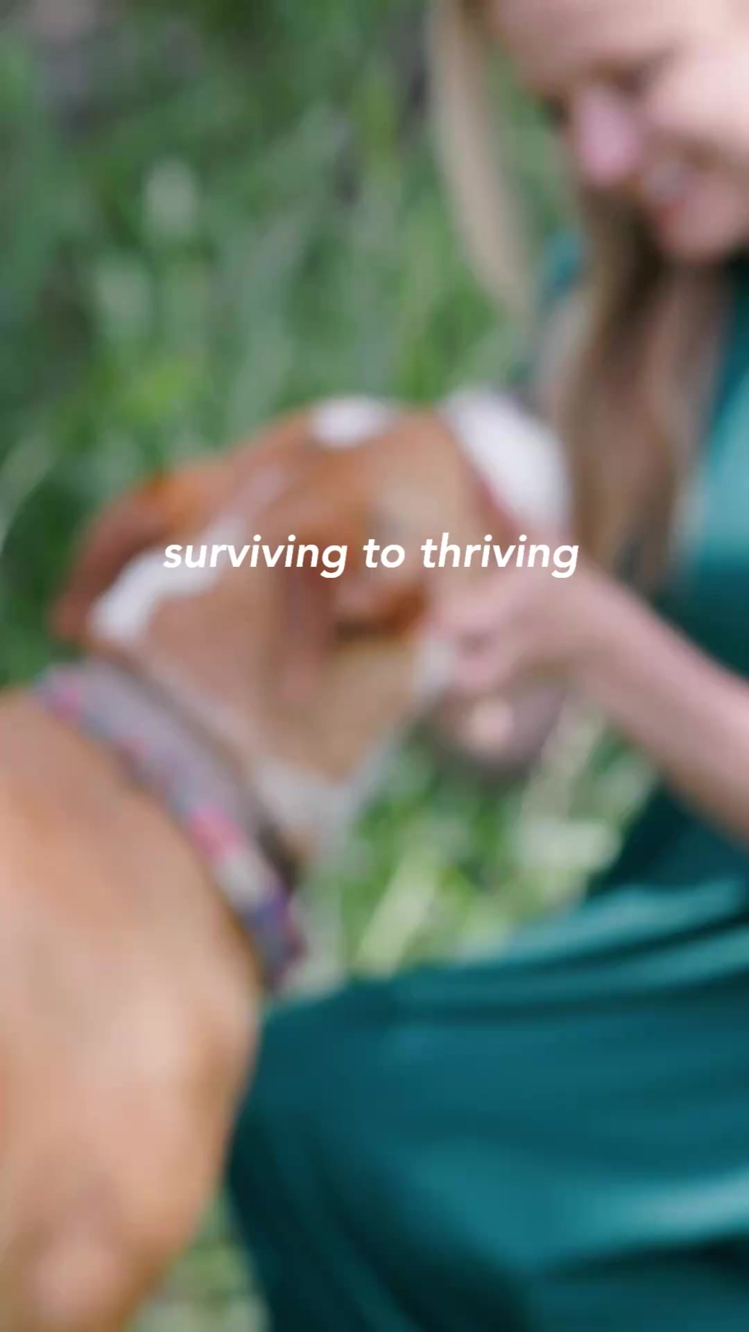 Surviving To Thriving