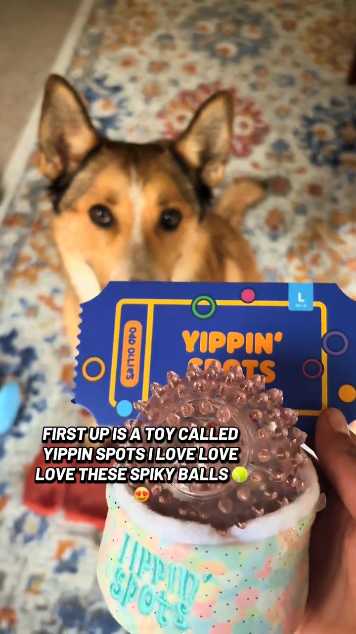 +1 FREE toy every month