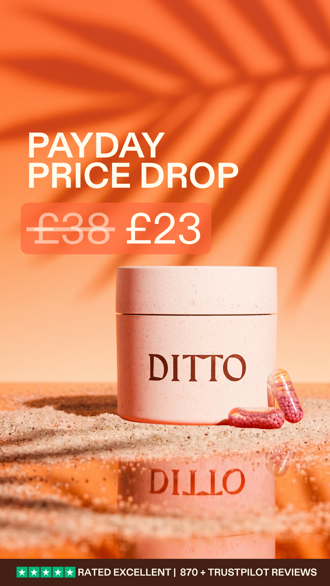 Get an extra 50% off with DITTO50