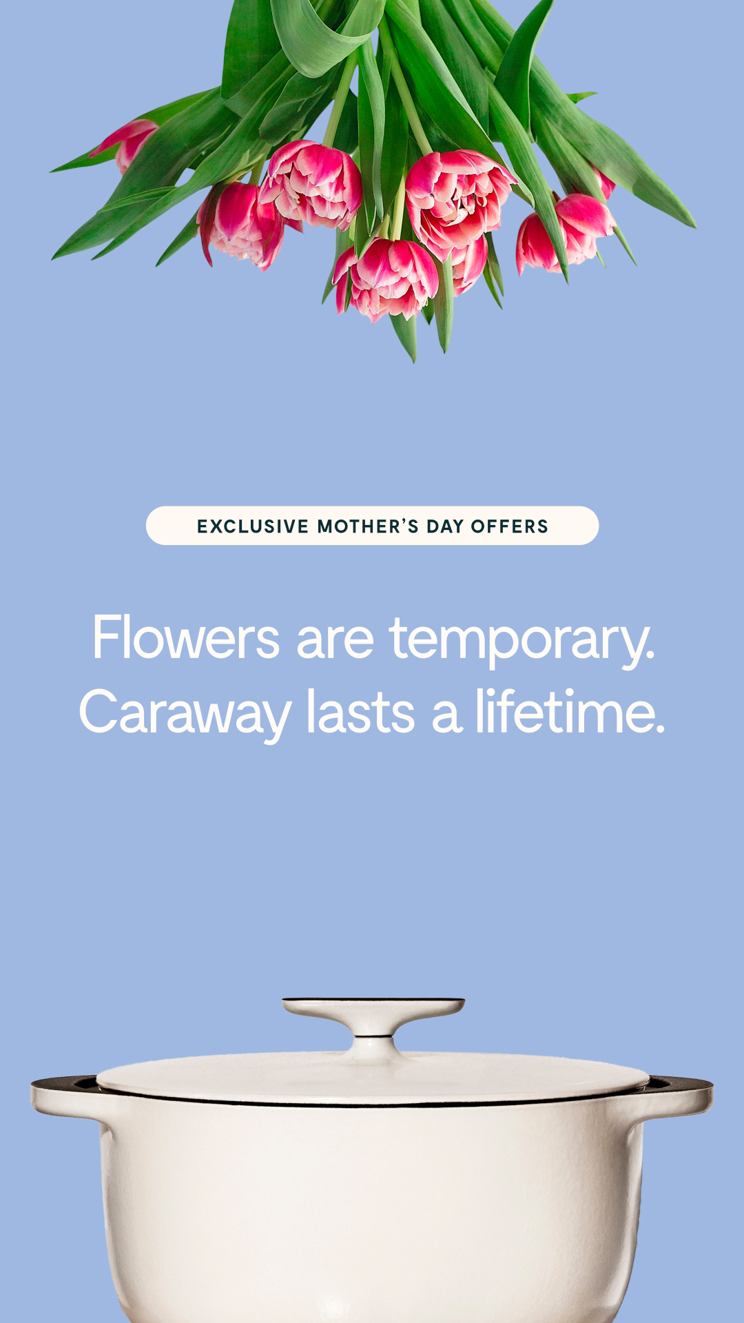 What is the one thing she never replaces for herself? This Mother's Day, give the gift of Caraway—clean, non-stick cookware made for easy cooking and cleanup.