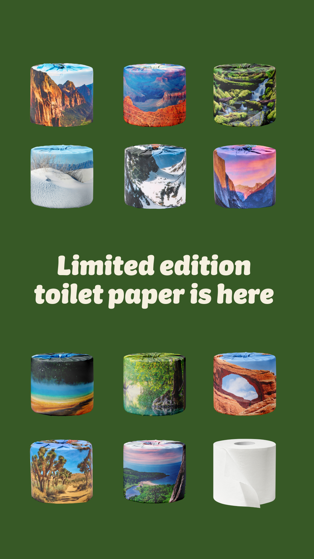 Limited edition toilet rolls