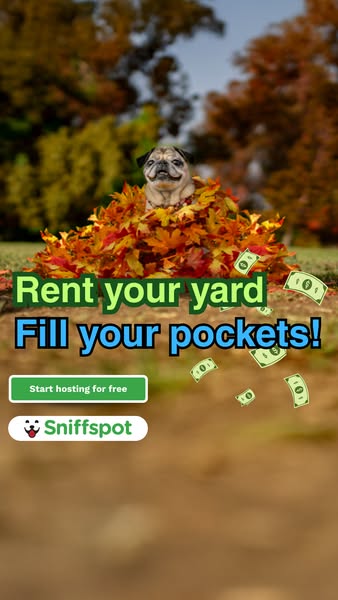 Rent your yard to Dogs 🙌 🐕‍🦺
