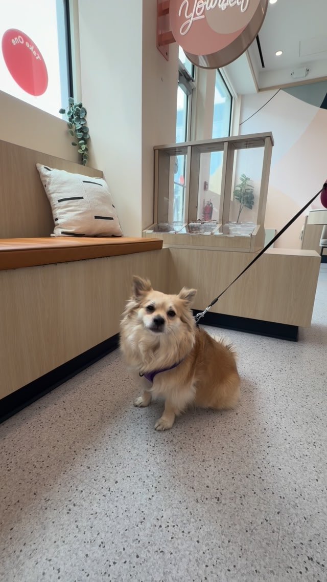 As a dog mom, there is nothing better than finding a vet that loves your dog almost as much as you do. 💙🐾

We’ve been loving the new Bond Vet Membership for Lolita! Members get the first exam free and 20% off appointment