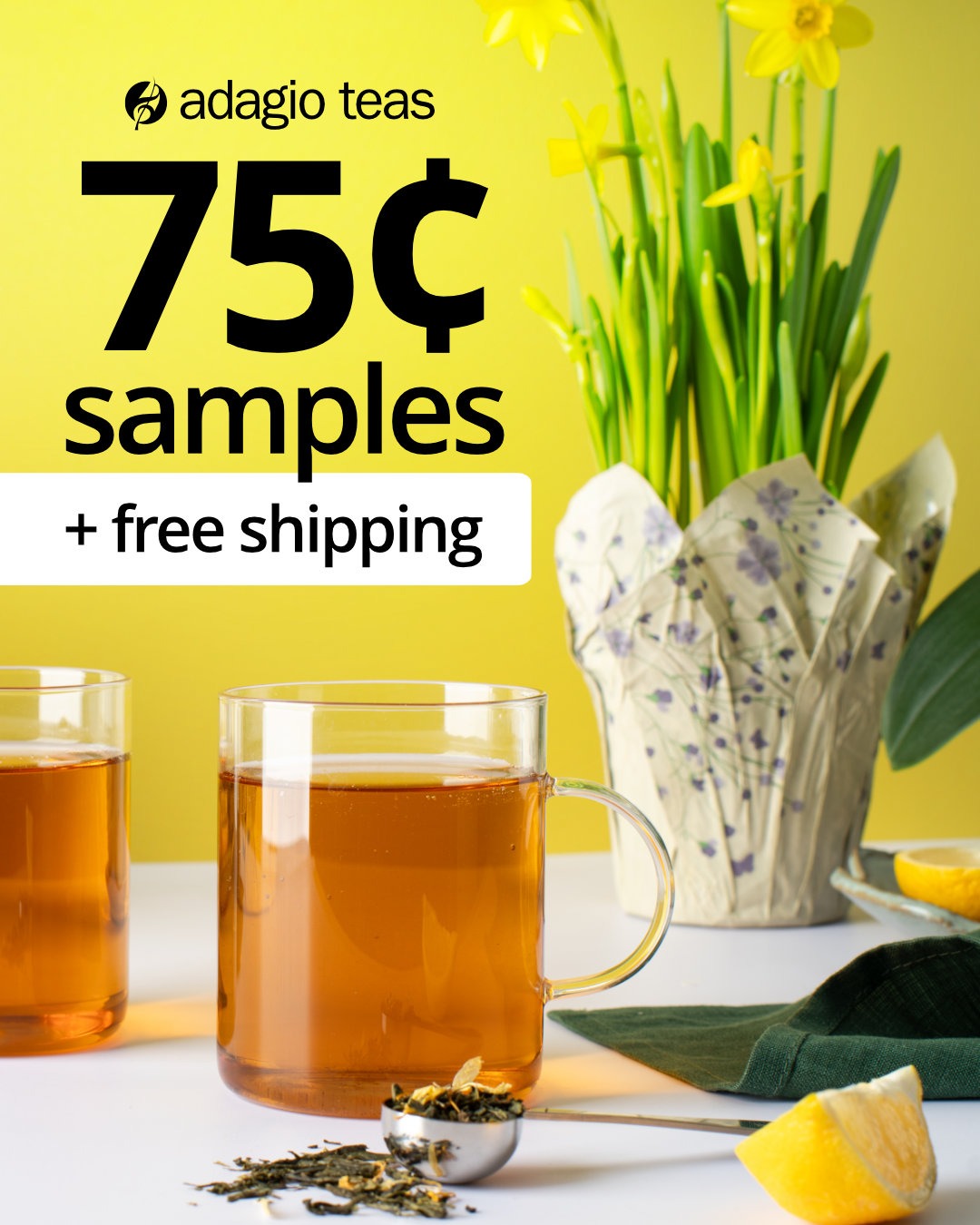 Try New Teas!