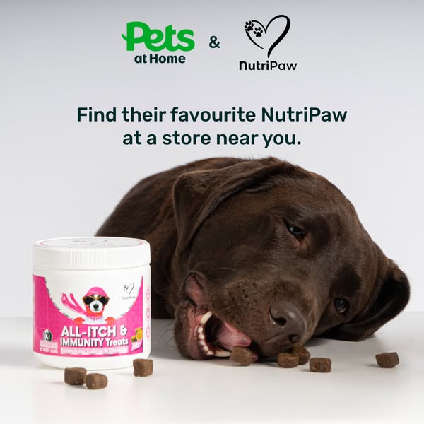 Pop in, pick up NutriPaw today