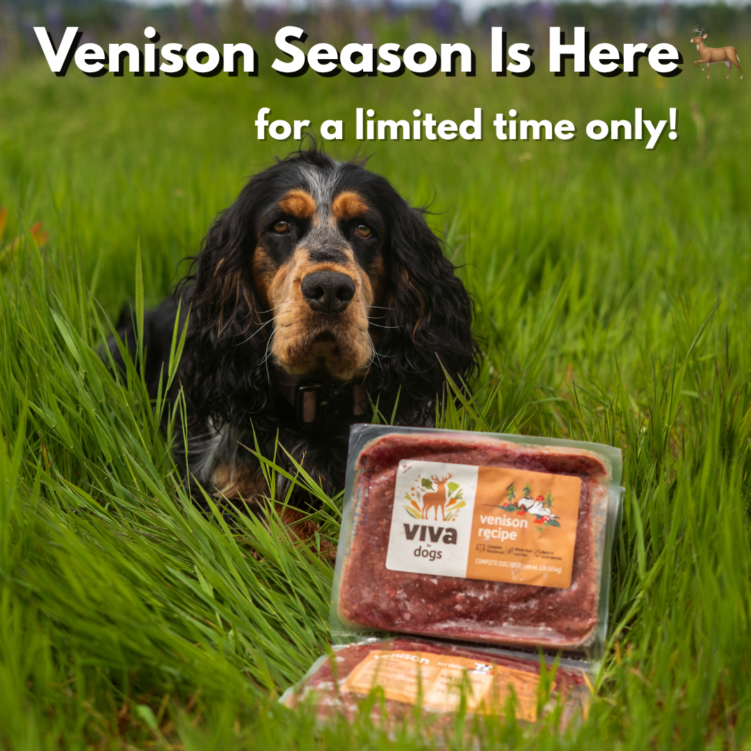 Venison Season Is Here 🦌