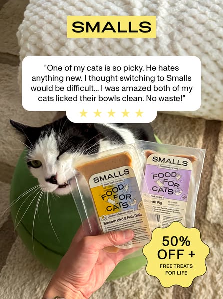 Human-Grade Fresh Cat Food