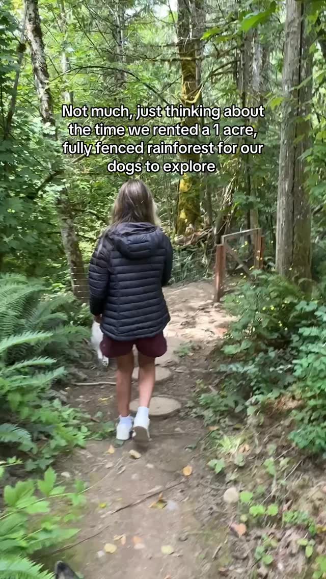 What’s the coolest SniffSpot that you’ve ever been to? 

This spot in Bellingham, WA is a guest favorite, for sure! #sniffspot #dogparks #bellingham #dogfriendly