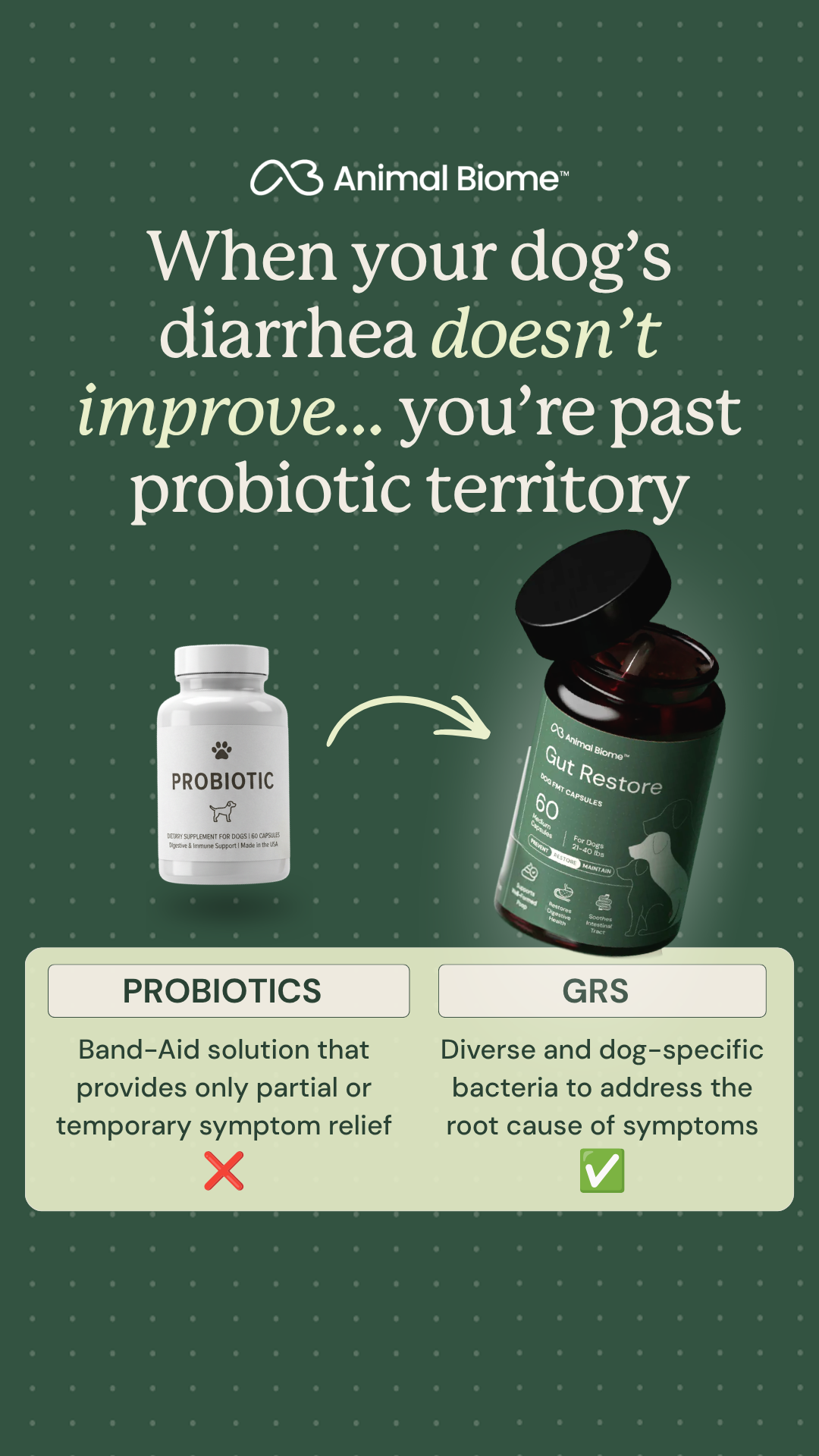 Relief For Your Dog's Gut