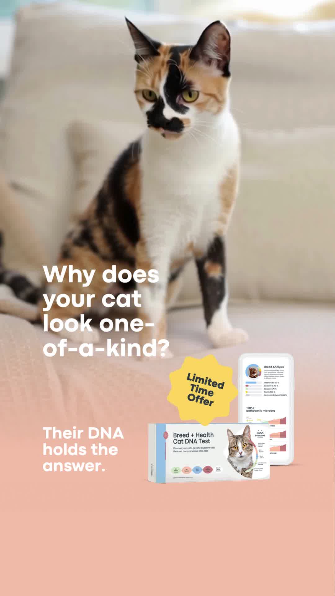 Their DNA, Their Story