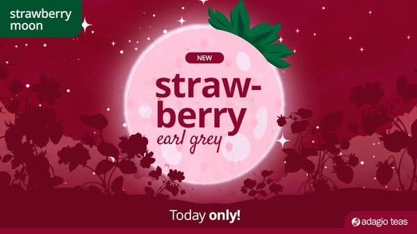 Adagio Teas | Buy Loose Leaf Tea Online | Free Shipping over $49