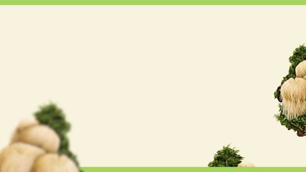 One Daily for Brain Support*