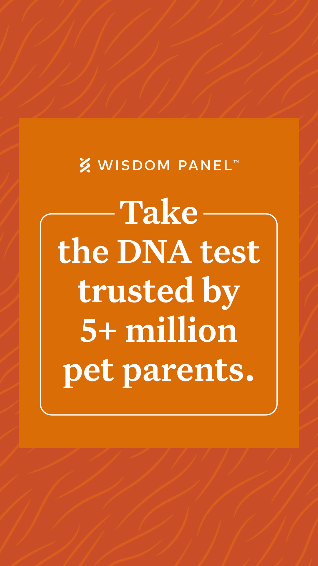 Wisdom Panel tests use 20+ years of research to deliver in-depth insights into your pet’s health, breed, traits, and more.
