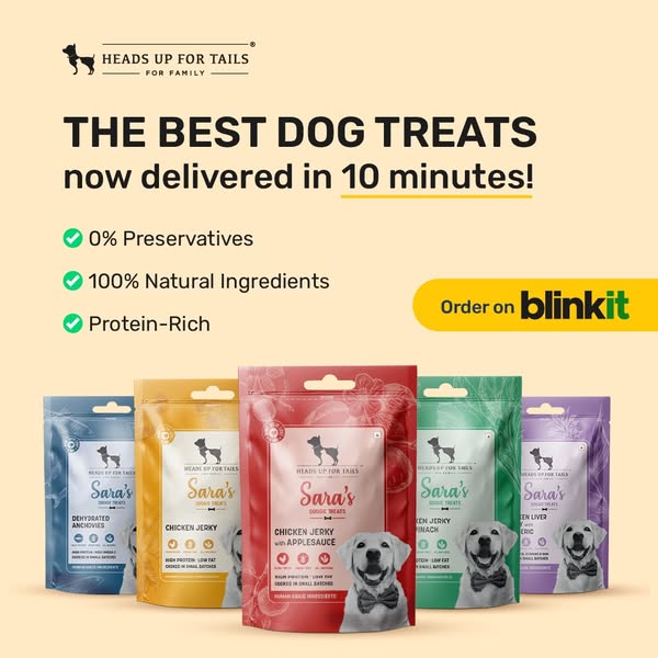 Treat time in NO TIME! 🐶  Get Sara's Doggie Treats delivered to your door in 10 minutes with Blinkit!

✅ 100% natural, limited ingredients
✅ Zero preservatives, zero added flavours, zero fillers
✅ High in protein, low in
