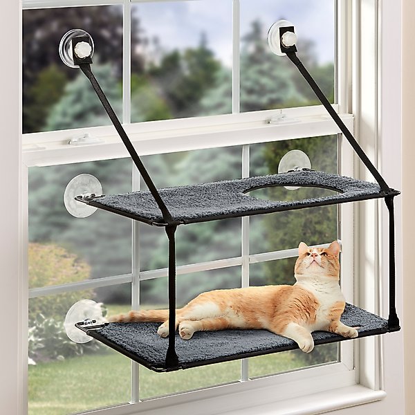 Spring refresh starts here with curated finds for your pet. Keep their space fresh with beds, bowls, toys & more.