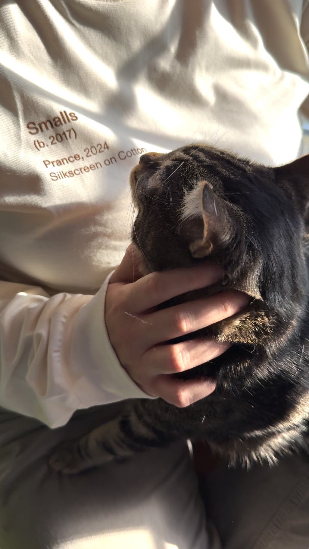 We love a chonky kitty… but if your cat’s looking more round than regal, it might be time to make some changes. 👀

Proper nutrition, hydration, and regular movement are just a few ways to keep them thriving. 

Want to le