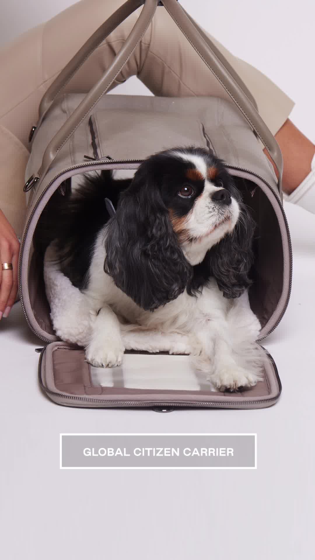 MAX15 for 15% OFF Sitewide.