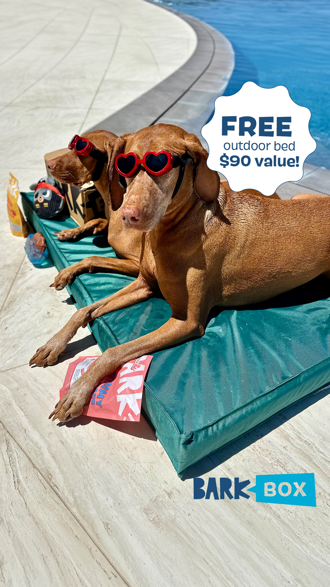 Poolside until further notice. Subscribe now and get a FREE outdoor bed for your pool pup.