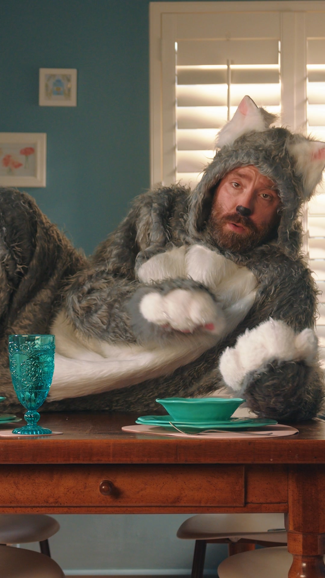 Bad kitty? 🐱
Don't worry, we've got you covered!.